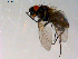  ( - 10PROBE-13869)  @12 [ ] CreativeCommons - Attribution (2011) CBG Photography Group Centre for Biodiversity Genomics