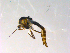  ( - 10PROBE-13876)  @12 [ ] CreativeCommons - Attribution (2011) CBG Photography Group Centre for Biodiversity Genomics