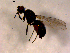  ( - 10PROBE-13956)  @13 [ ] CreativeCommons - Attribution (2011) CBG Photography Group Centre for Biodiversity Genomics