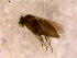  ( - 10PROBE-13978)  @12 [ ] CreativeCommons - Attribution (2011) CBG Photography Group Centre for Biodiversity Genomics
