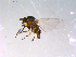  ( - 10PROBE-14014)  @13 [ ] CreativeCommons - Attribution (2011) CBG Photography Group Centre for Biodiversity Genomics