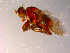  ( - 10PROBE-14137)  @12 [ ] CreativeCommons - Attribution (2011) CBG Photography Group Centre for Biodiversity Genomics