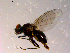  ( - 10PROBE-14234)  @12 [ ] CreativeCommons - Attribution (2011) CBG Photography Group Centre for Biodiversity Genomics