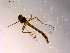  ( - 10PROBE-14253)  @12 [ ] CreativeCommons - Attribution (2011) CBG Photography Group Centre for Biodiversity Genomics