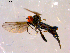 ( - 10PROBE-14325)  @13 [ ] CreativeCommons - Attribution (2011) CBG Photography Group Centre for Biodiversity Genomics