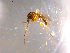  ( - 10PROBE-14330)  @13 [ ] CreativeCommons - Attribution (2011) CBG Photography Group Centre for Biodiversity Genomics