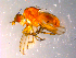 ( - 10PROBE-14348)  @13 [ ] CreativeCommons - Attribution (2011) CBG Photography Group Centre for Biodiversity Genomics