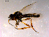  ( - 10PROBE-14472)  @13 [ ] CreativeCommons - Attribution (2011) CBG Photography Group Centre for Biodiversity Genomics