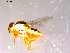  ( - 10PROBE-14477)  @12 [ ] CreativeCommons - Attribution (2011) CBG Photography Group Centre for Biodiversity Genomics