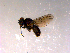  ( - 10PROBE-14522)  @12 [ ] CreativeCommons - Attribution (2011) CBG Photography Group Centre for Biodiversity Genomics