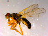  ( - 10PROBE-14526)  @12 [ ] CreativeCommons - Attribution (2011) CBG Photography Group Centre for Biodiversity Genomics