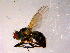  ( - 10PROBE-14534)  @14 [ ] CreativeCommons - Attribution (2011) CBG Photography Group Centre for Biodiversity Genomics