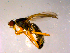  ( - 10PROBE-14583)  @14 [ ] CreativeCommons - Attribution (2011) CBG Photography Group Centre for Biodiversity Genomics