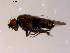  ( - 10PROBE-14675)  @12 [ ] CreativeCommons - Attribution (2011) CBG Photography Group Centre for Biodiversity Genomics