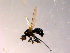  ( - 10PROBE-14688)  @12 [ ] CreativeCommons - Attribution (2011) CBG Photography Group Centre for Biodiversity Genomics