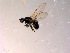  ( - 10PROBE-14689)  @12 [ ] CreativeCommons - Attribution (2011) CBG Photography Group Centre for Biodiversity Genomics