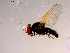  ( - 10PROBE-14701)  @12 [ ] CreativeCommons - Attribution (2011) CBG Photography Group Centre for Biodiversity Genomics