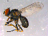 ( - 10PROBE-14766)  @13 [ ] CreativeCommons - Attribution (2011) CBG Photography Group Centre for Biodiversity Genomics