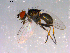  ( - 10PROBE-14768)  @13 [ ] CreativeCommons - Attribution (2011) CBG Photography Group Centre for Biodiversity Genomics