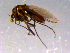  ( - 10PROBE-14794)  @13 [ ] CreativeCommons - Attribution (2011) CBG Photography Group Centre for Biodiversity Genomics
