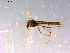  ( - 10PROBE-14797)  @12 [ ] CreativeCommons - Attribution (2011) CBG Photography Group Centre for Biodiversity Genomics
