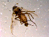  ( - 10PROBE-14879)  @13 [ ] CreativeCommons - Attribution (2011) CBG Photography Group Centre for Biodiversity Genomics