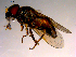  ( - 10PROBE-14921)  @12 [ ] CreativeCommons - Attribution (2011) CBG Photography Group Centre for Biodiversity Genomics