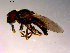  ( - 10PROBE-14935)  @11 [ ] CreativeCommons - Attribution (2011) CBG Photography Group Centre for Biodiversity Genomics