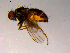  ( - 10PROBE-14956)  @12 [ ] CreativeCommons - Attribution (2011) CBG Photography Group Centre for Biodiversity Genomics