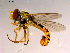  ( - 10PROBE-15168)  @13 [ ] CreativeCommons - Attribution (2011) CBG Photography Group Centre for Biodiversity Genomics
