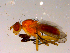  ( - 10PROBE-15214)  @12 [ ] CreativeCommons - Attribution (2011) CBG Photography Group Centre for Biodiversity Genomics