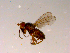  ( - 10PROBE-15253)  @12 [ ] CreativeCommons - Attribution (2011) CBG Photography Group Centre for Biodiversity Genomics