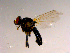  ( - 10PROBE-15293)  @12 [ ] CreativeCommons - Attribution (2011) CBG Photography Group Centre for Biodiversity Genomics