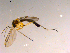 ( - 10PROBE-15341)  @13 [ ] CreativeCommons - Attribution (2011) CBG Photography Group Centre for Biodiversity Genomics