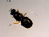  ( - 10PROBE-15398)  @12 [ ] CreativeCommons - Attribution (2011) CBG Photography Group Centre for Biodiversity Genomics