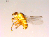  ( - 10PROBE-15461)  @13 [ ] CreativeCommons - Attribution (2011) CBG Photography Group Centre for Biodiversity Genomics