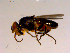  ( - 10PROBE-15568)  @13 [ ] CreativeCommons - Attribution (2011) CBG Photography Group Centre for Biodiversity Genomics