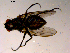  ( - 10PROBE-15605)  @12 [ ] CreativeCommons - Attribution (2011) CBG Photography Group Centre for Biodiversity Genomics