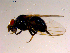  ( - 10PROBE-15627)  @12 [ ] CreativeCommons - Attribution (2011) CBG Photography Group Centre for Biodiversity Genomics
