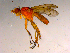  ( - 10PROBE-15827)  @12 [ ] CreativeCommons - Attribution (2011) CBG Photography Group Centre for Biodiversity Genomics