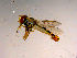  ( - 10PROBE-15841)  @13 [ ] CreativeCommons - Attribution (2011) CBG Photography Group Centre for Biodiversity Genomics