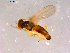  ( - 10PROBE-15879)  @12 [ ] CreativeCommons - Attribution (2011) CBG Photography Group Centre for Biodiversity Genomics