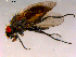  ( - 10PROBE-15927)  @13 [ ] CreativeCommons - Attribution (2011) CBG Photography Group Centre for Biodiversity Genomics