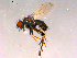  ( - 10PROBE-15939)  @14 [ ] CreativeCommons - Attribution (2011) CBG Photography Group Centre for Biodiversity Genomics