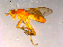  ( - 10PROBE-15982)  @13 [ ] CreativeCommons - Attribution (2011) CBG Photography Group Centre for Biodiversity Genomics
