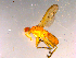  ( - 10PROBE-15989)  @13 [ ] CreativeCommons - Attribution (2011) CBG Photography Group Centre for Biodiversity Genomics