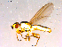  ( - 10PROBE-15996)  @12 [ ] CreativeCommons - Attribution (2011) CBG Photography Group Centre for Biodiversity Genomics