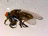  ( - 10PROBE-15998)  @12 [ ] CreativeCommons - Attribution (2011) CBG Photography Group Centre for Biodiversity Genomics