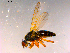  ( - 10PROBE-16008)  @12 [ ] CreativeCommons - Attribution (2011) CBG Photography Group Centre for Biodiversity Genomics