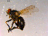 ( - 10PROBE-16015)  @13 [ ] CreativeCommons - Attribution (2011) CBG Photography Group Centre for Biodiversity Genomics